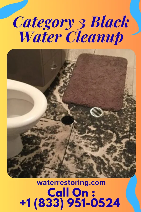 Category 3 Black Water Cleanup in High Forest, MN