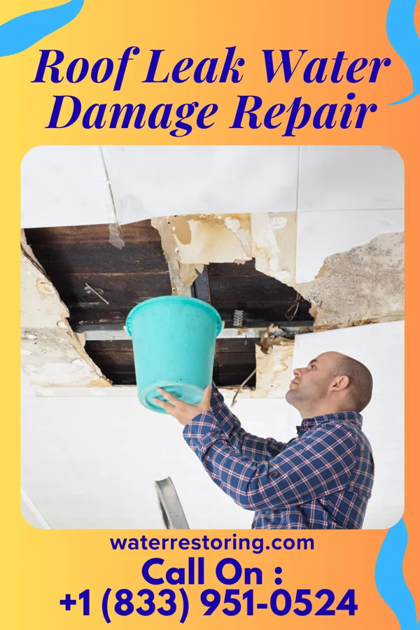 Roof Leak Water Damage Repair in High Forest, MN