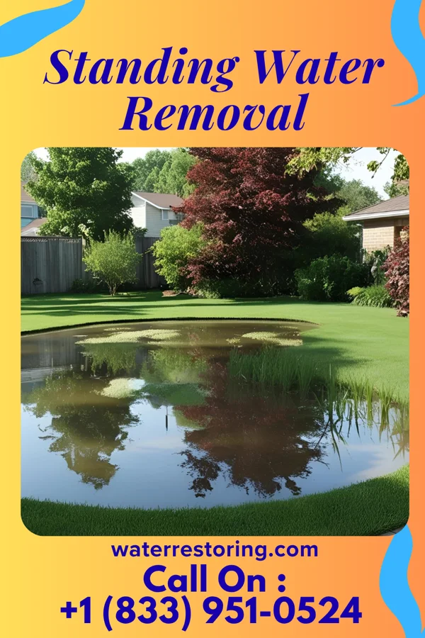 Standing Water Removal in High Forest, MN